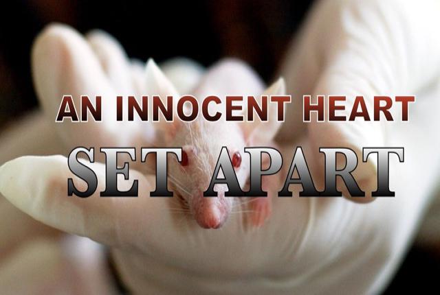 An innocent heart set apart